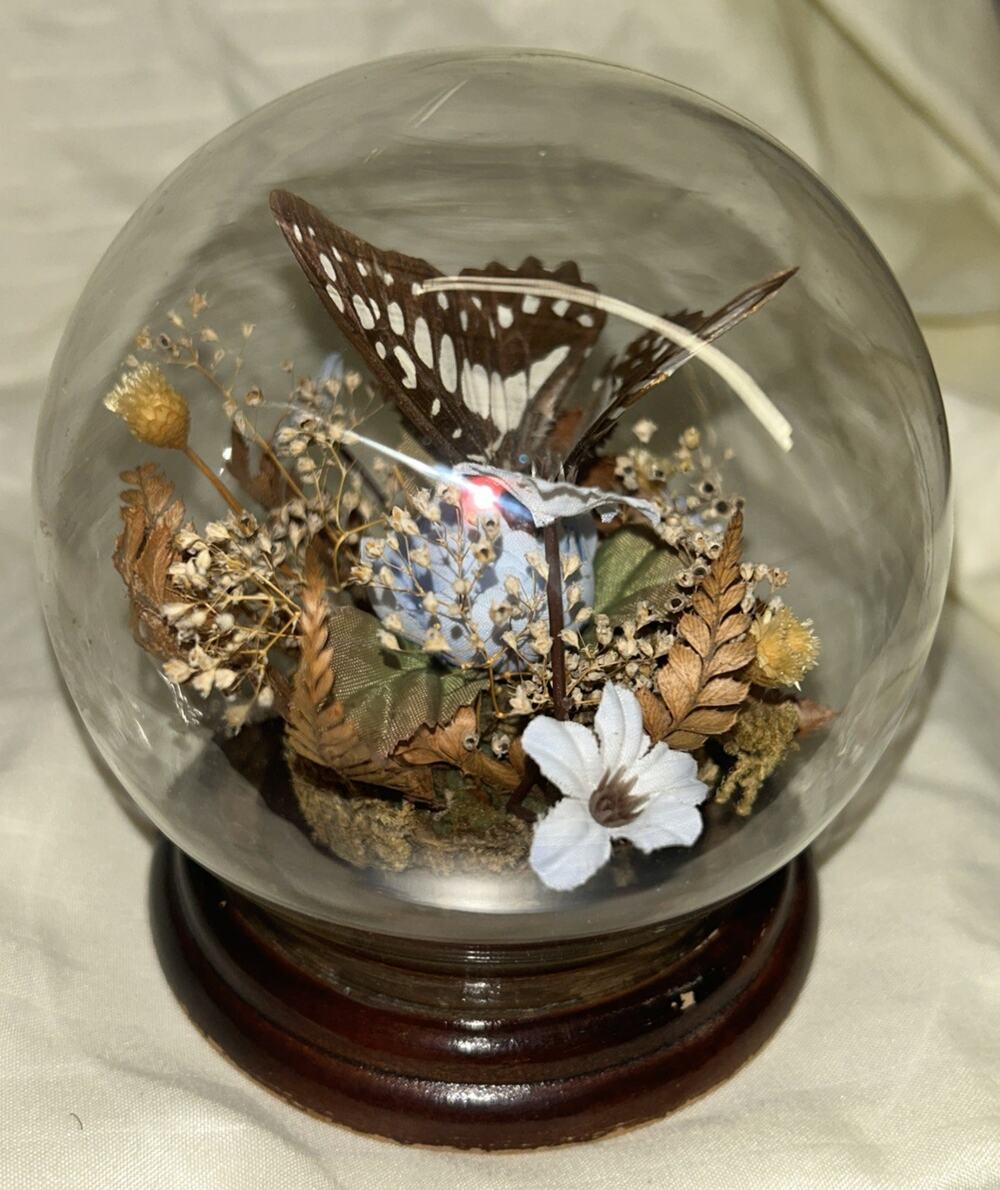 MCM Butterfly And Plastic Flowers In A Glass Dome